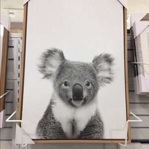 Meet your Posher, Jayme